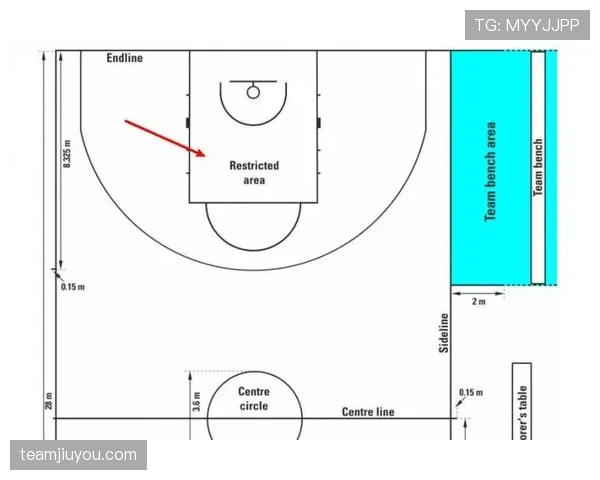 FIBA和NBA规则区别：关键差异全面对比