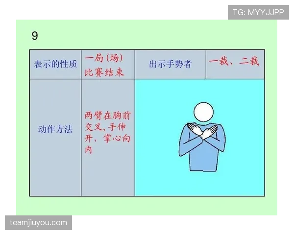 裁判手势规则解析：详解常见手势含义与适用场景